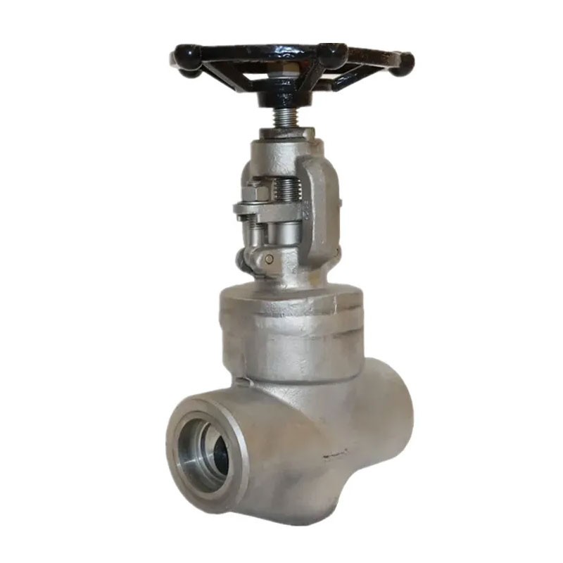 Rostfritt stål Socket svetsade Bonney Forge Globe Valve