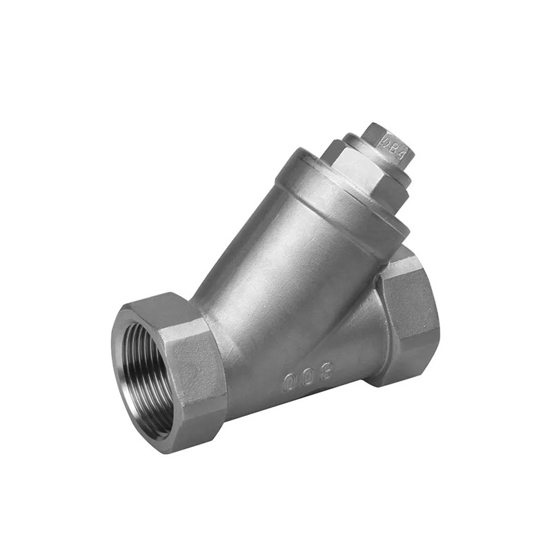 Ansi Y Strainer Filter