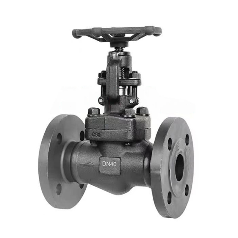 Plug -skivan A105N Forged Steel Flanged Globe Valve