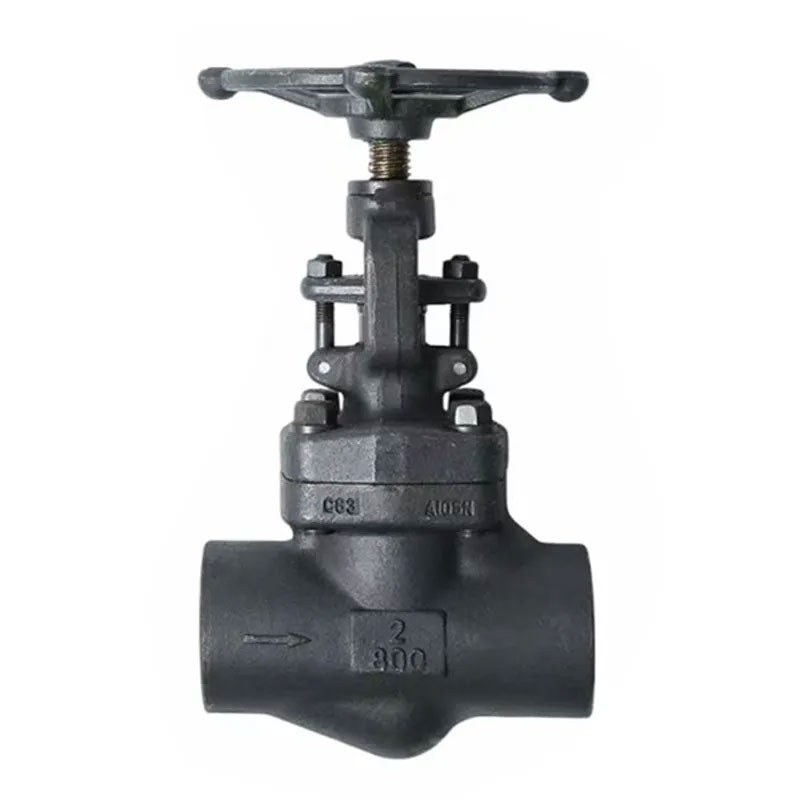 API 602 gängade ändar smidda Globe Valve Class 800